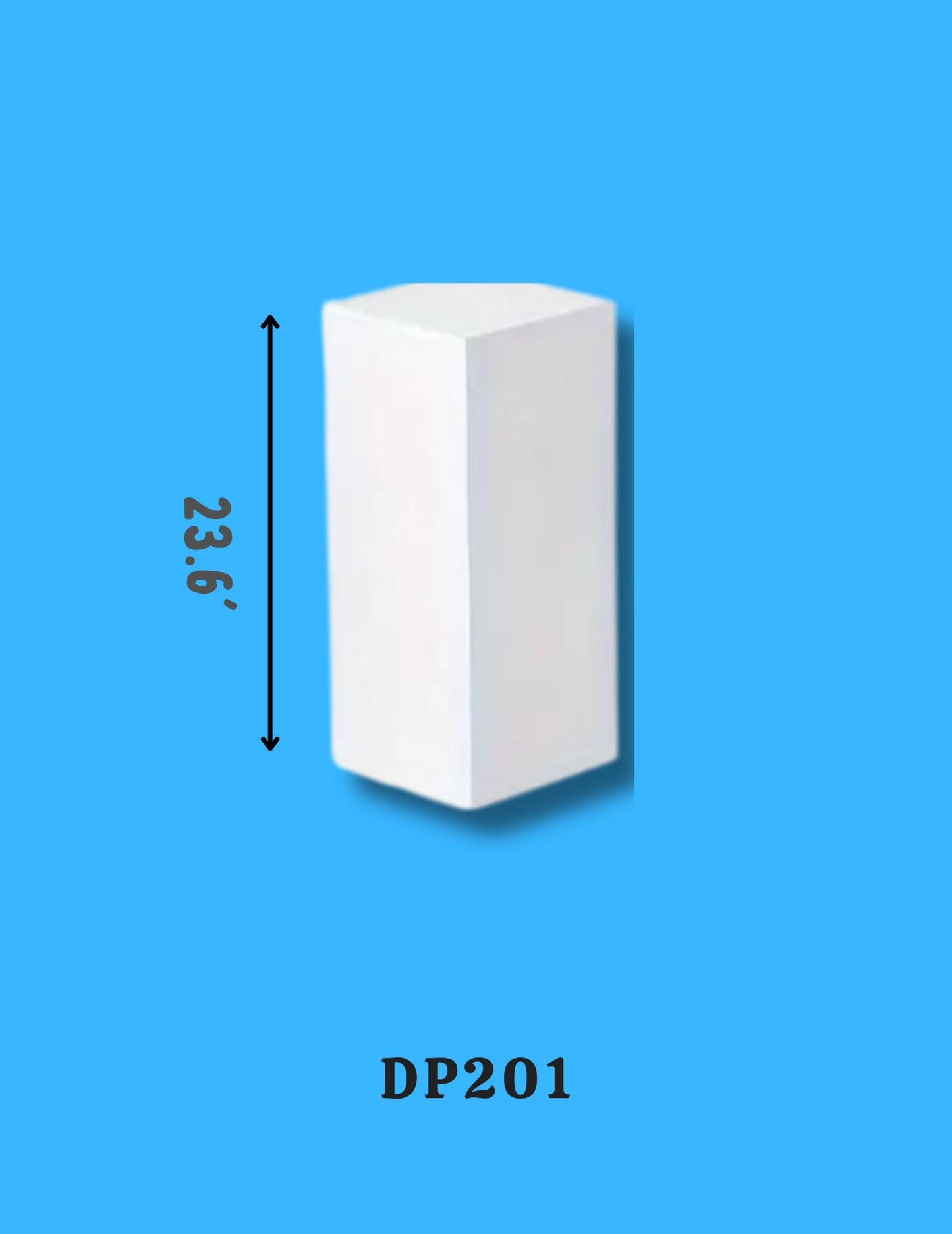 Display Podium DP201